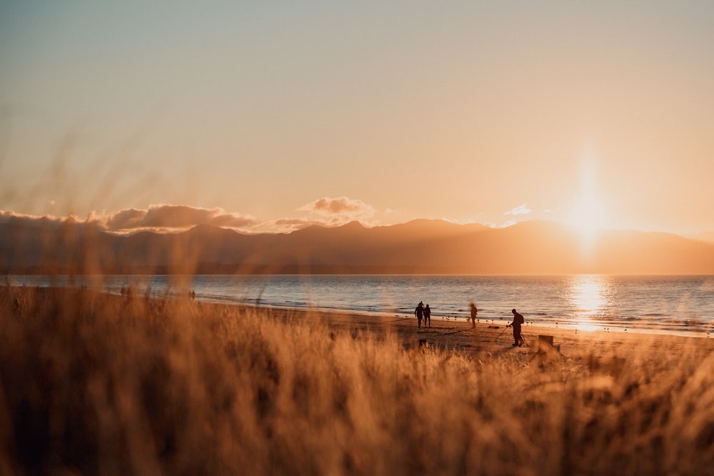 Silueta de la gente en la playa durante la puesta del sol