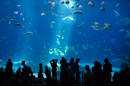 Aquaria Phuket