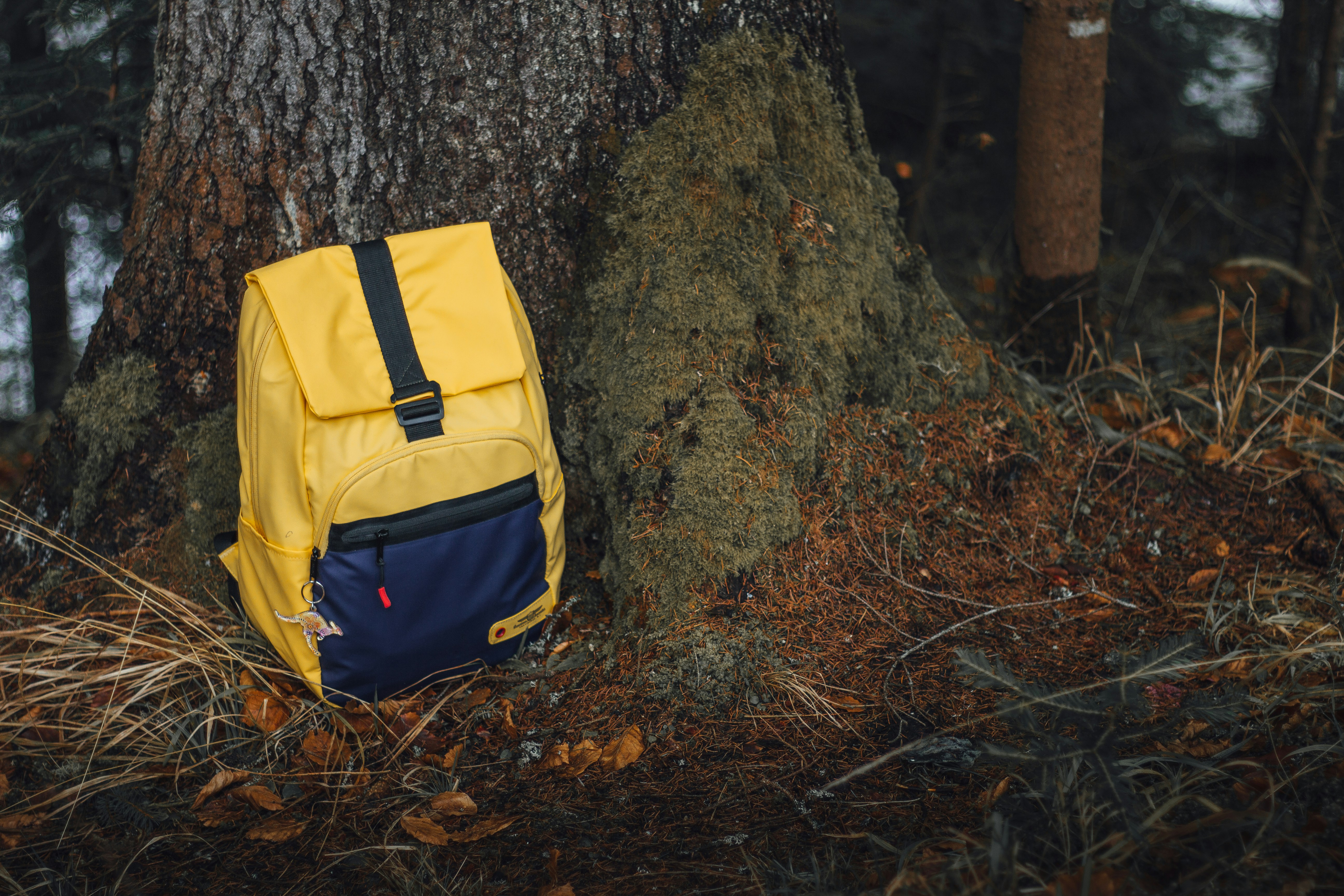 Quel sac à dos pour le survivalisme ?