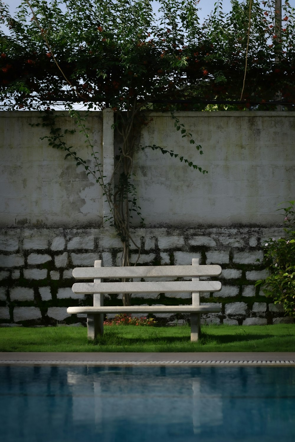 brown wooden bench on green grass field