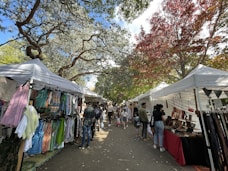 people walking on street during daytime