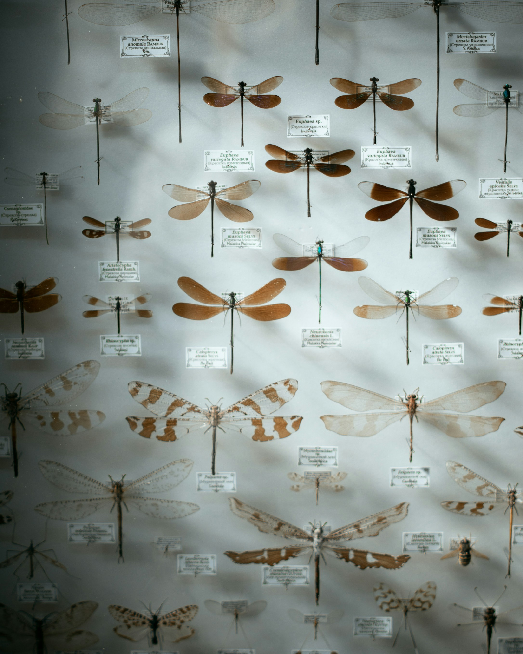 Photo by kirillpershin