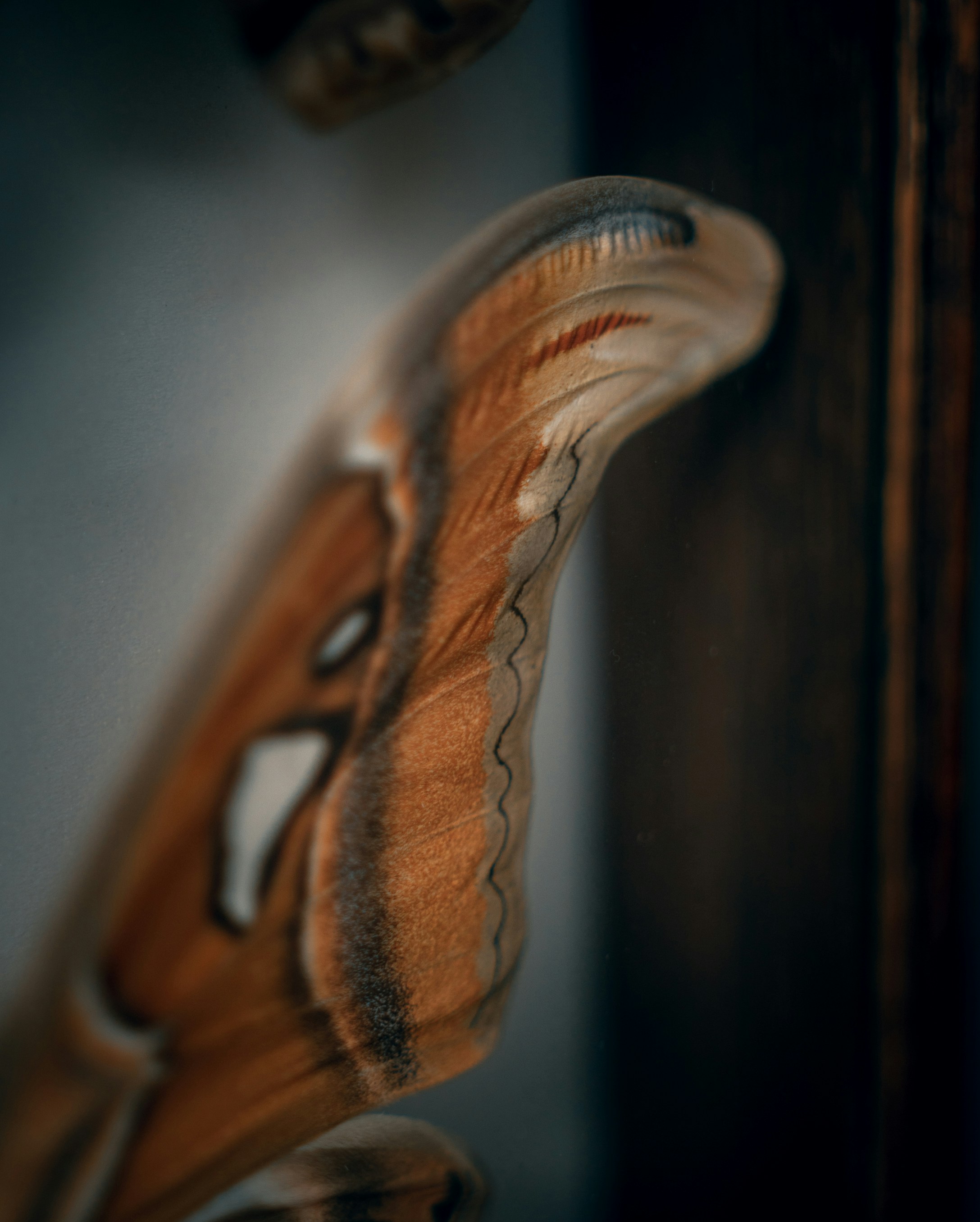 Photo by kirillpershin