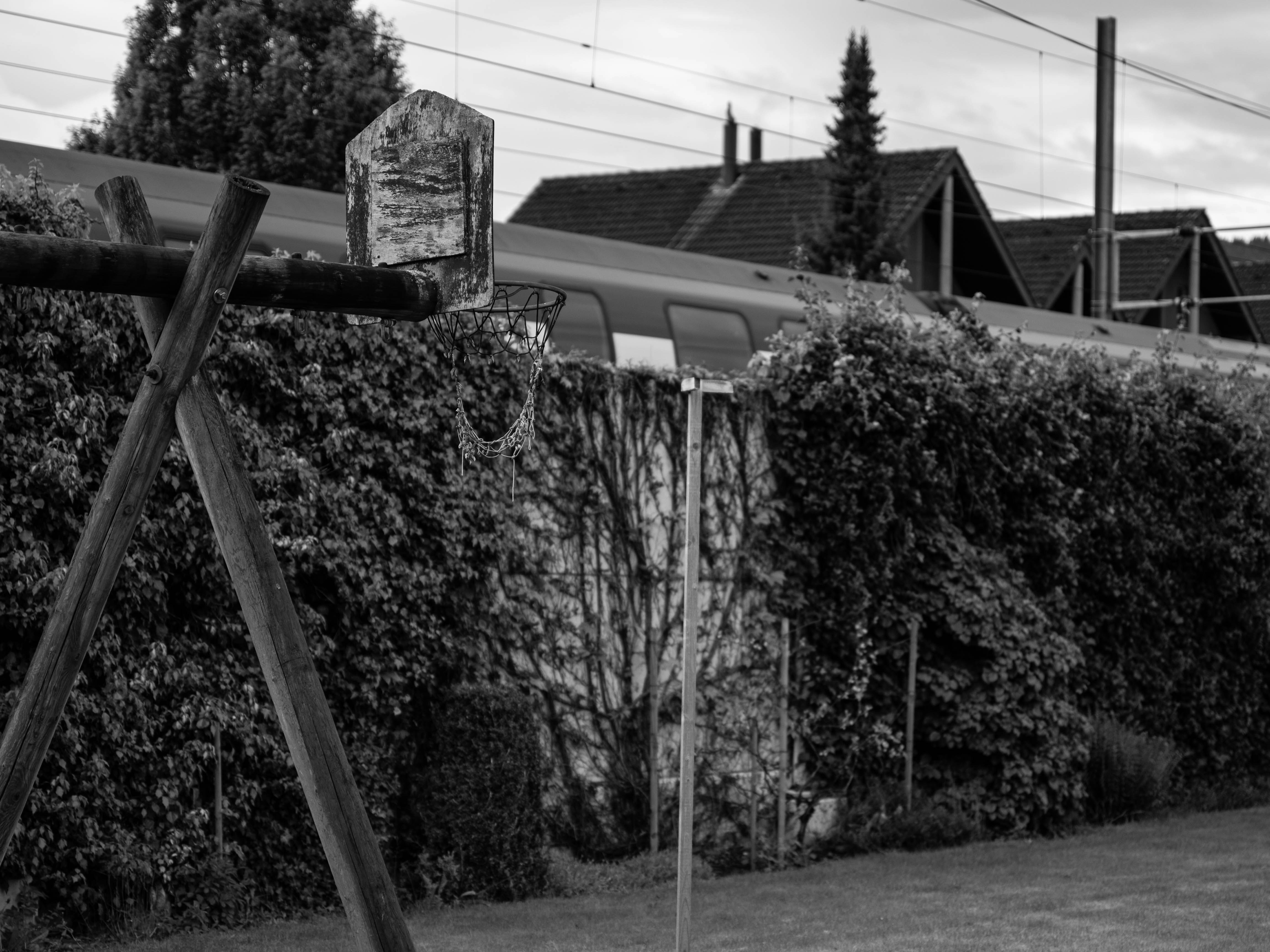 grayscale photo of tree near house