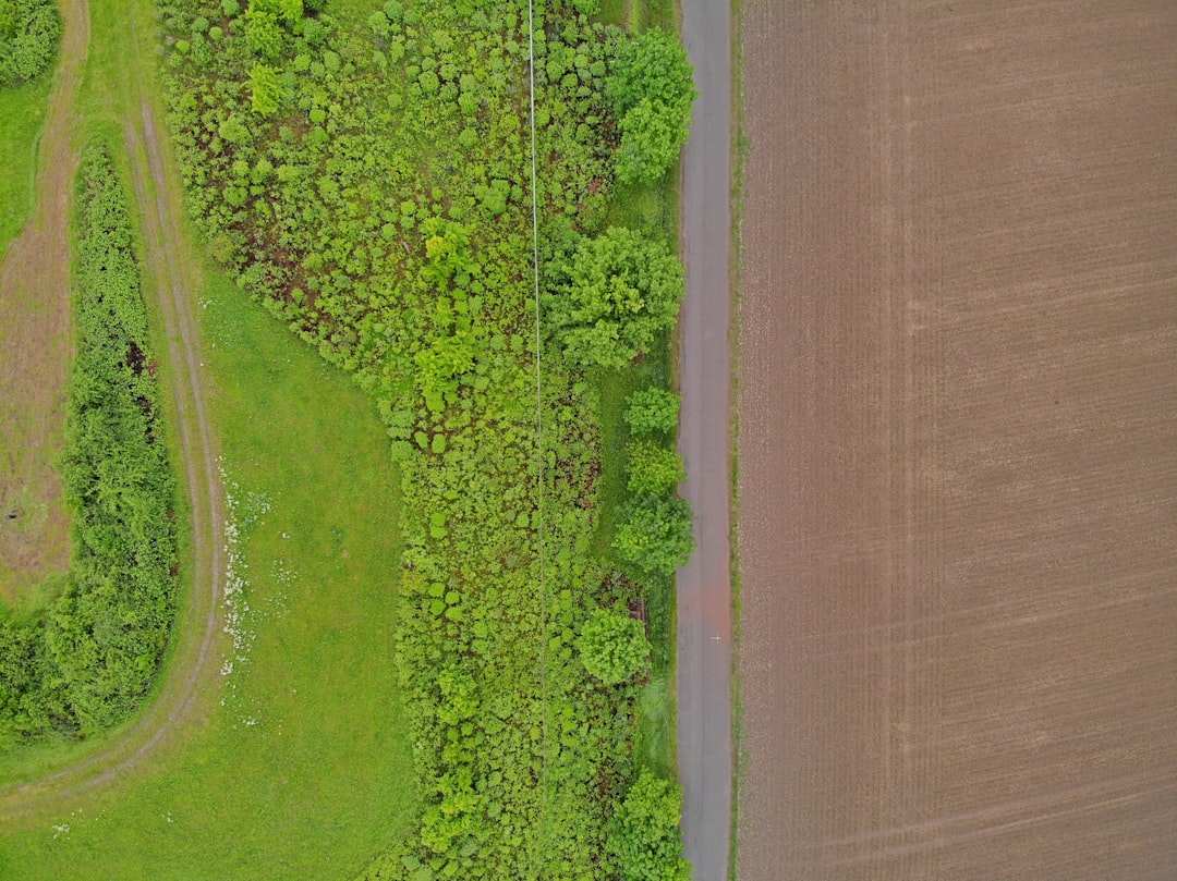 green grass field near body of water