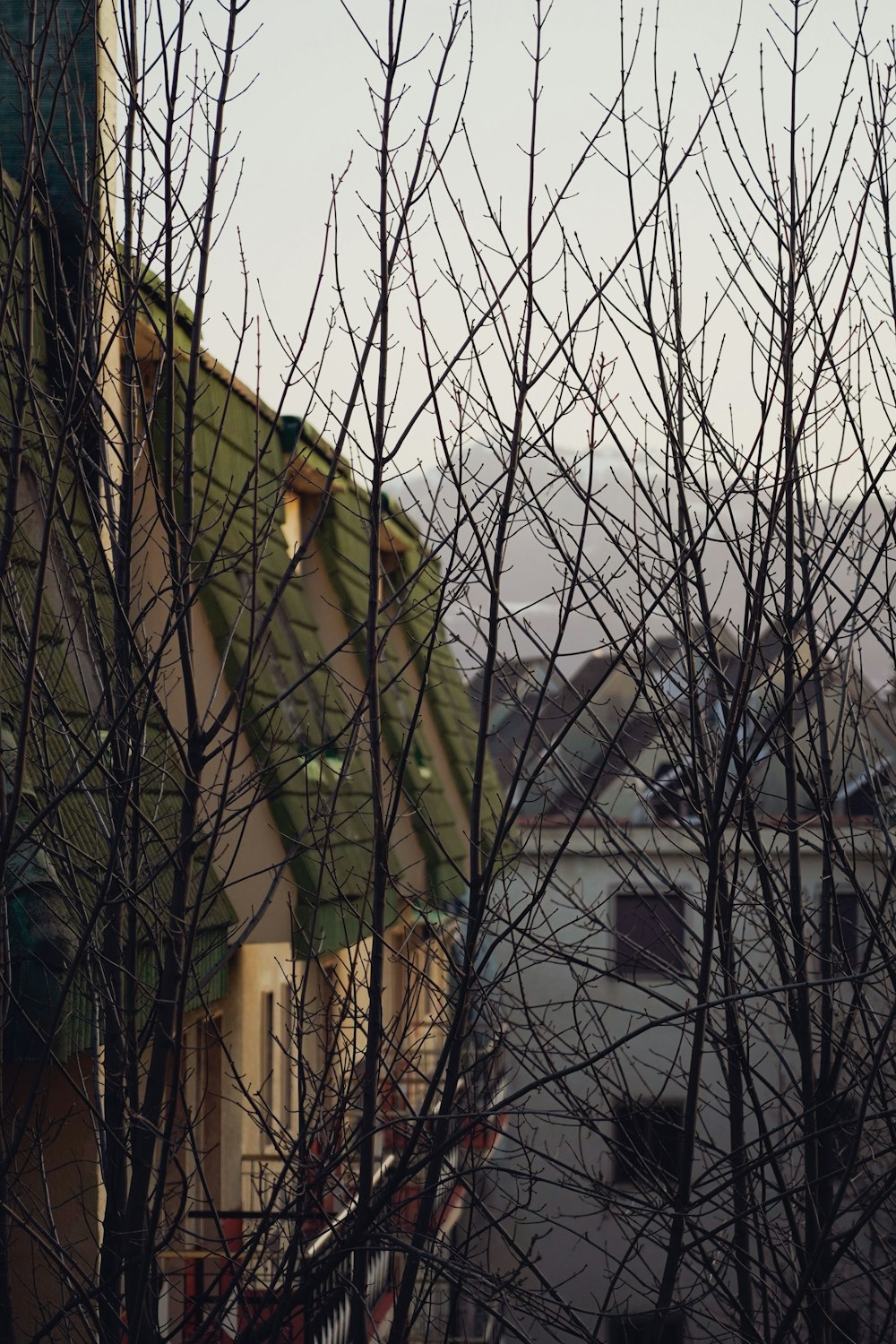 woman in green coat standing near bare tree during daytime