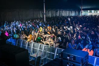 A professional security team managing crowd control at a lively outdoor concert.