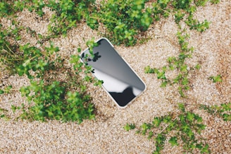 A smartphone with a reflective screen lies on a bed of small, light-colored pebbles surrounded by vibrant green plants. The phone's screen reflects the sky above, and the natural setting suggests a contrast between technology and nature.