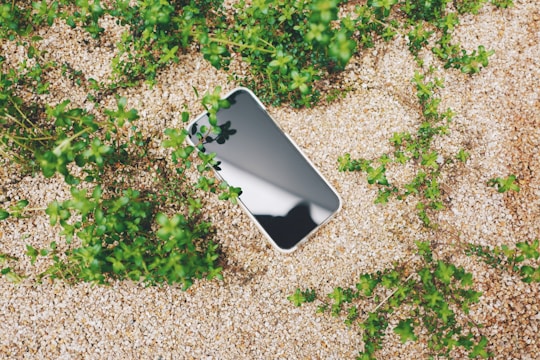 A smartphone with a reflective screen lies on a bed of small, light-colored pebbles surrounded by vibrant green plants. The phone's screen reflects the sky above, and the natural setting suggests a contrast between technology and nature.