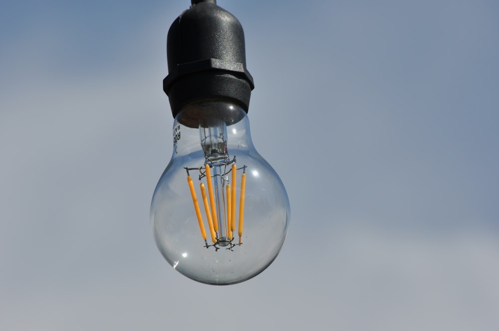 black and clear glass light bulb