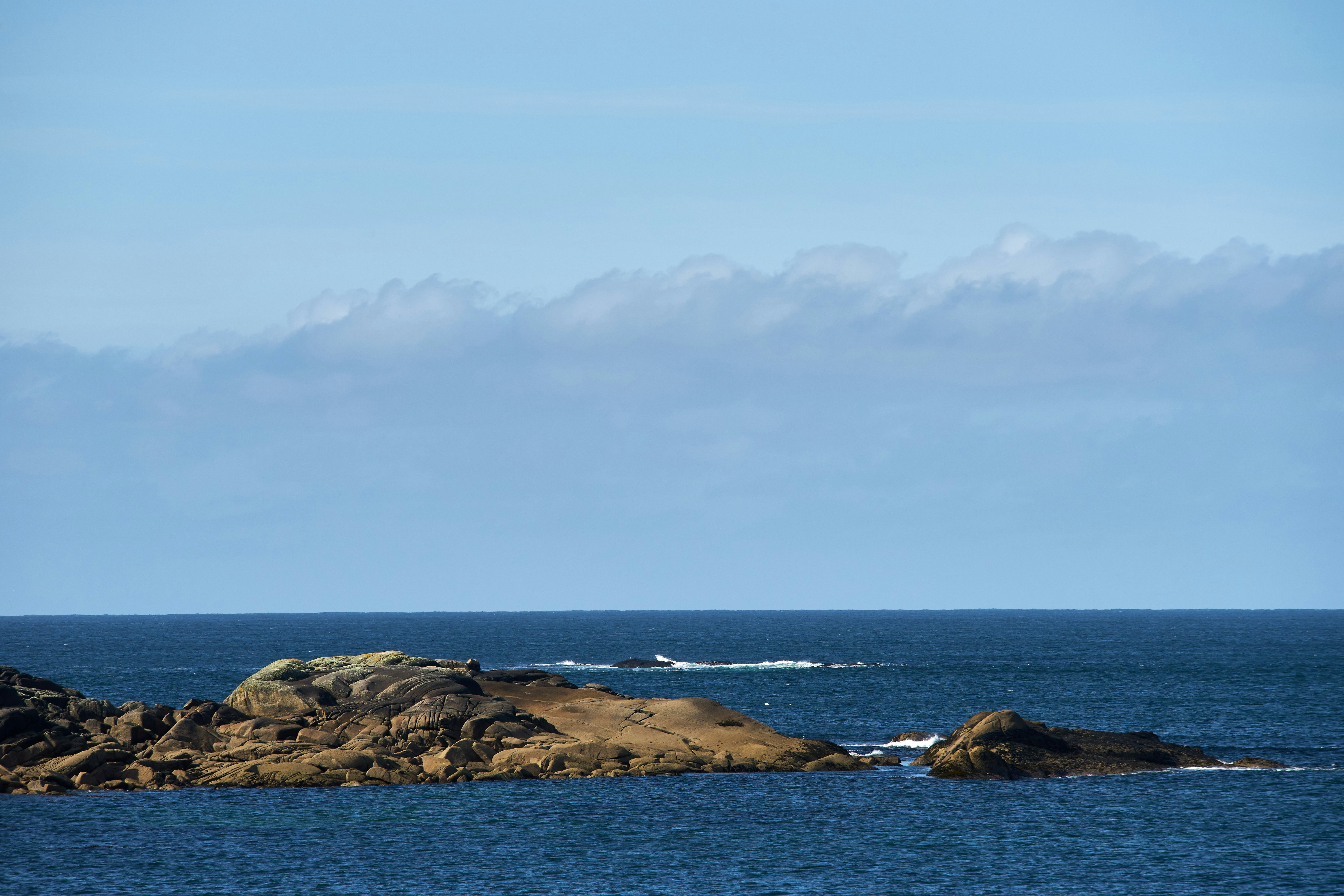 Photo by wolfgang_hasselmann