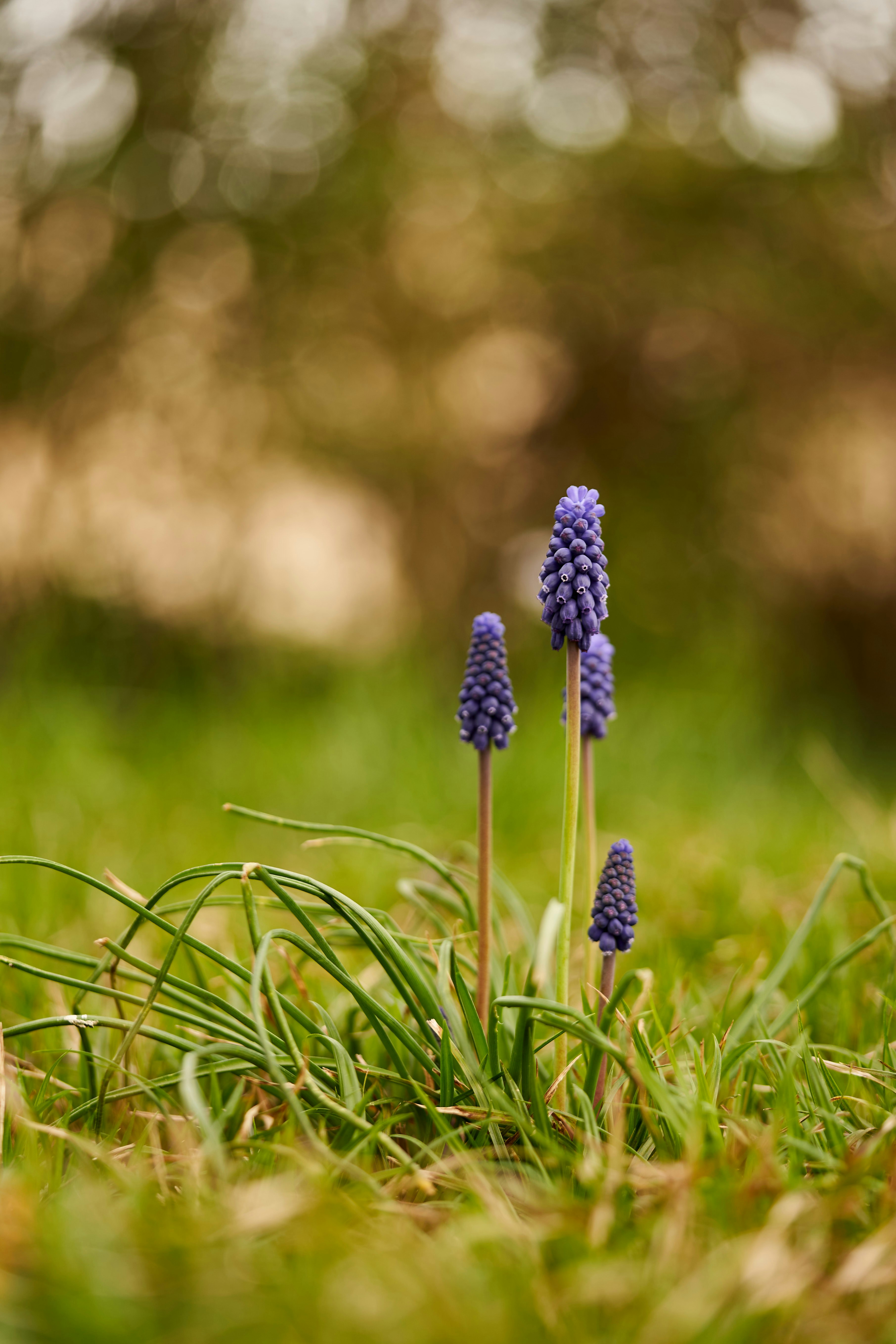 Photo by wolfgang_hasselmann