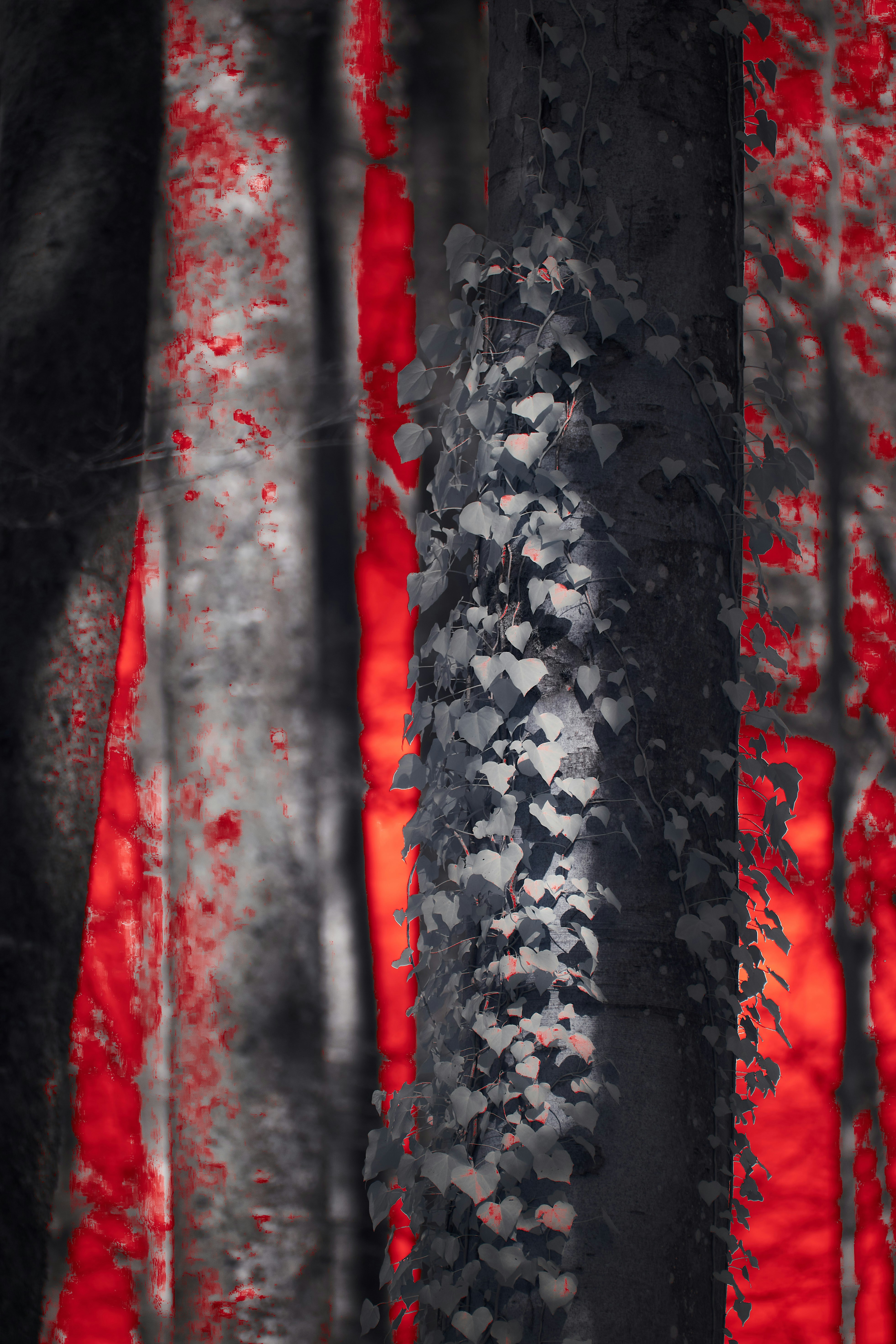 Photo by wolfgang_hasselmann