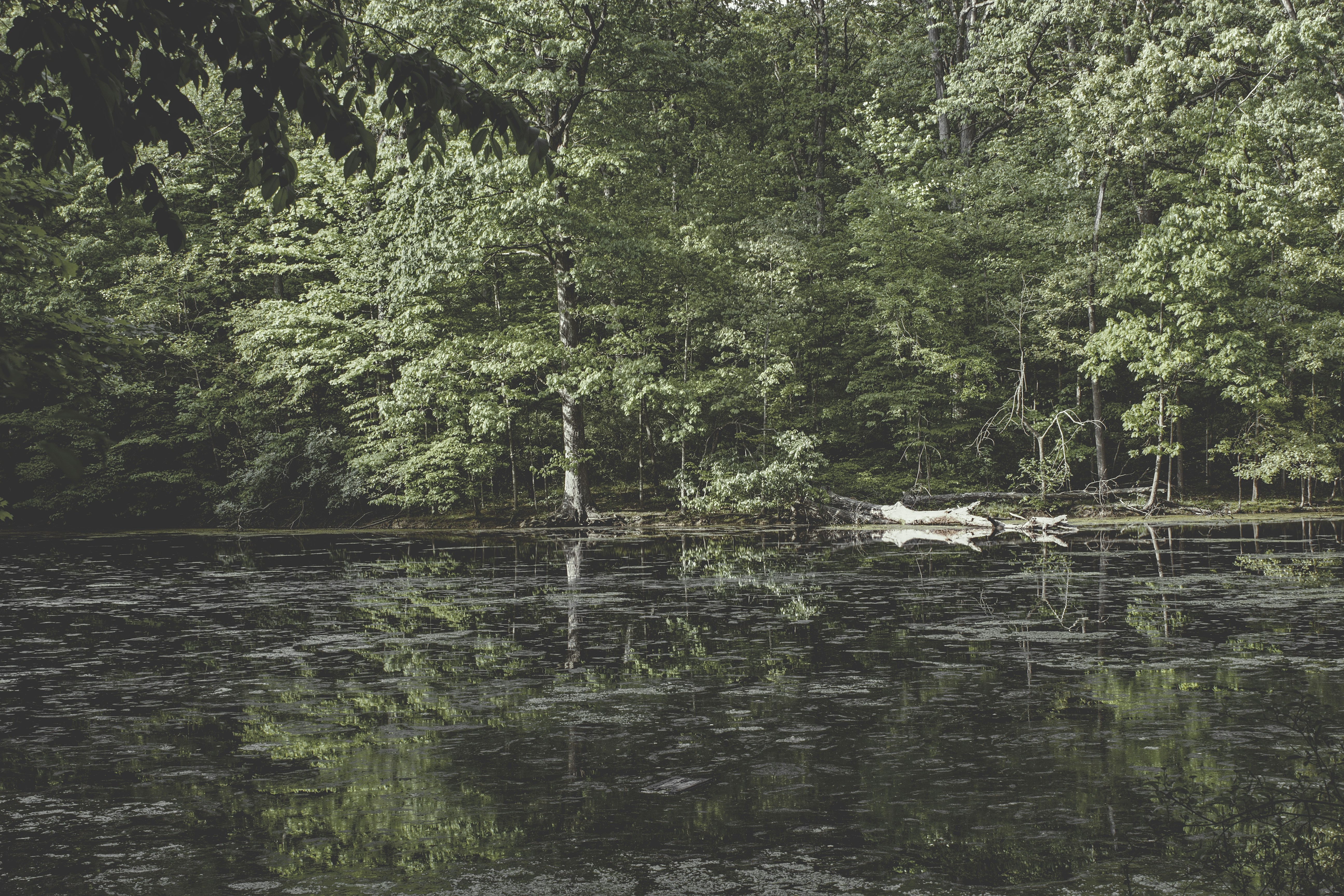 Photo by mrgreatheart