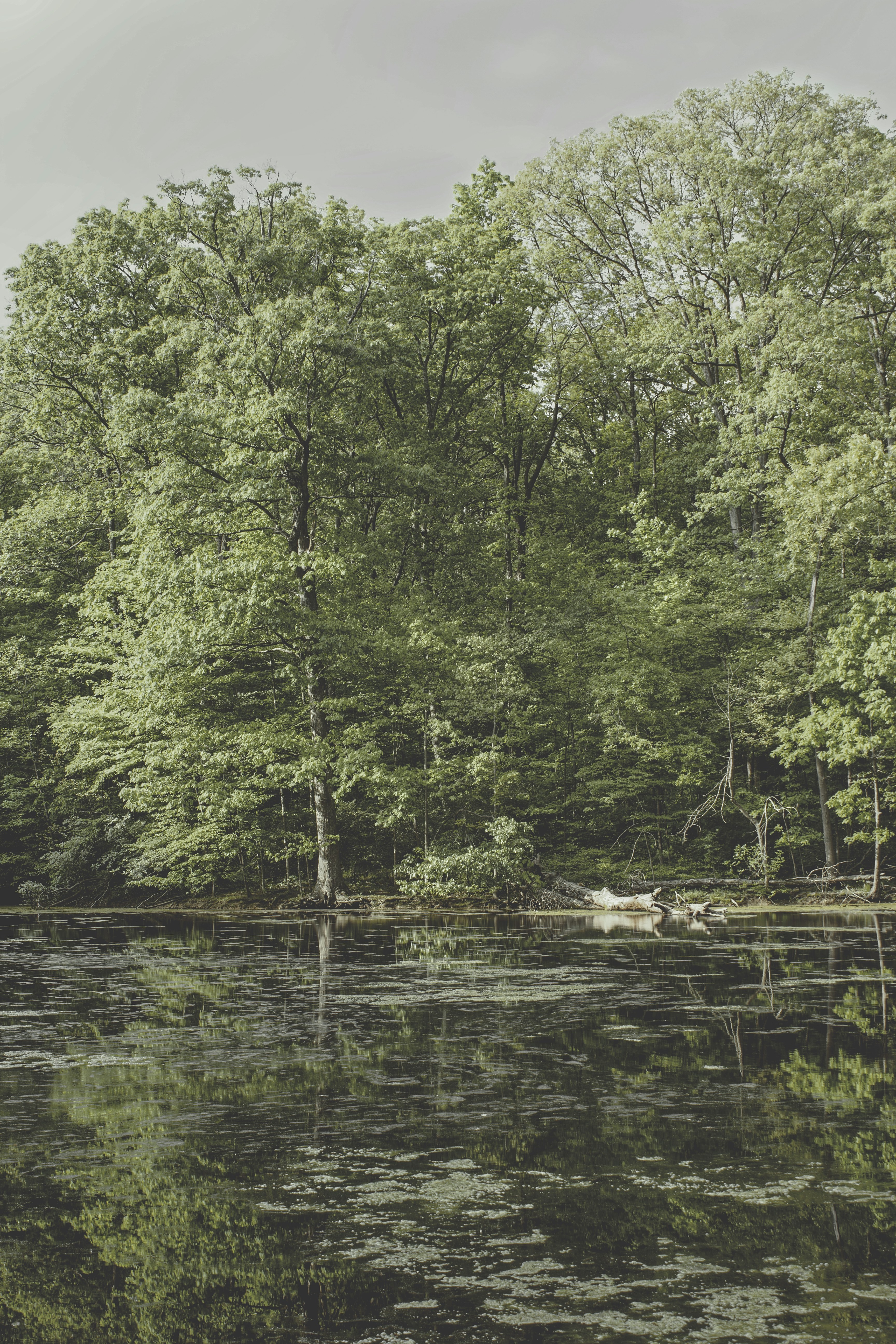 Photo by mrgreatheart