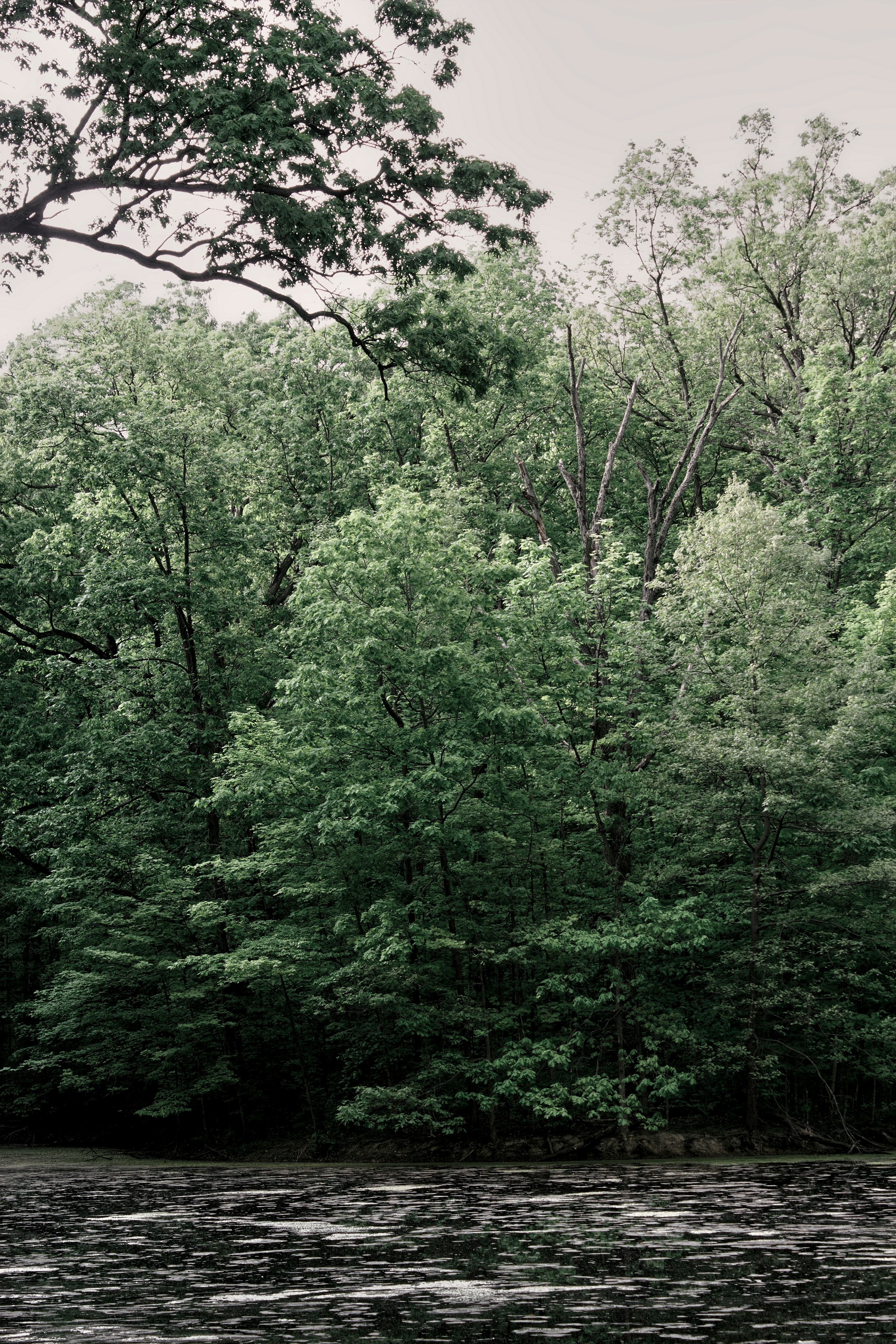 Photo by mrgreatheart