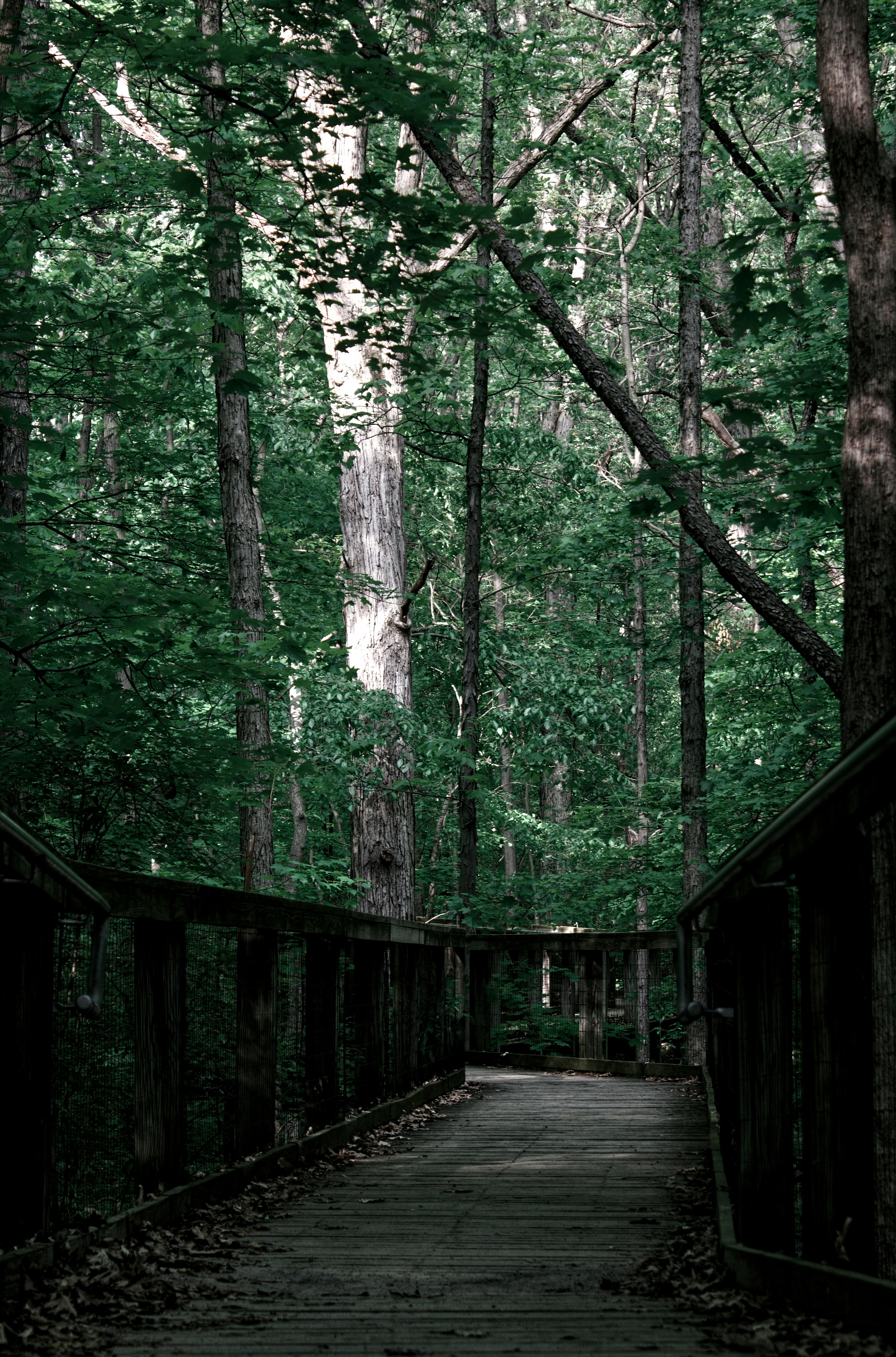 Photo by mrgreatheart