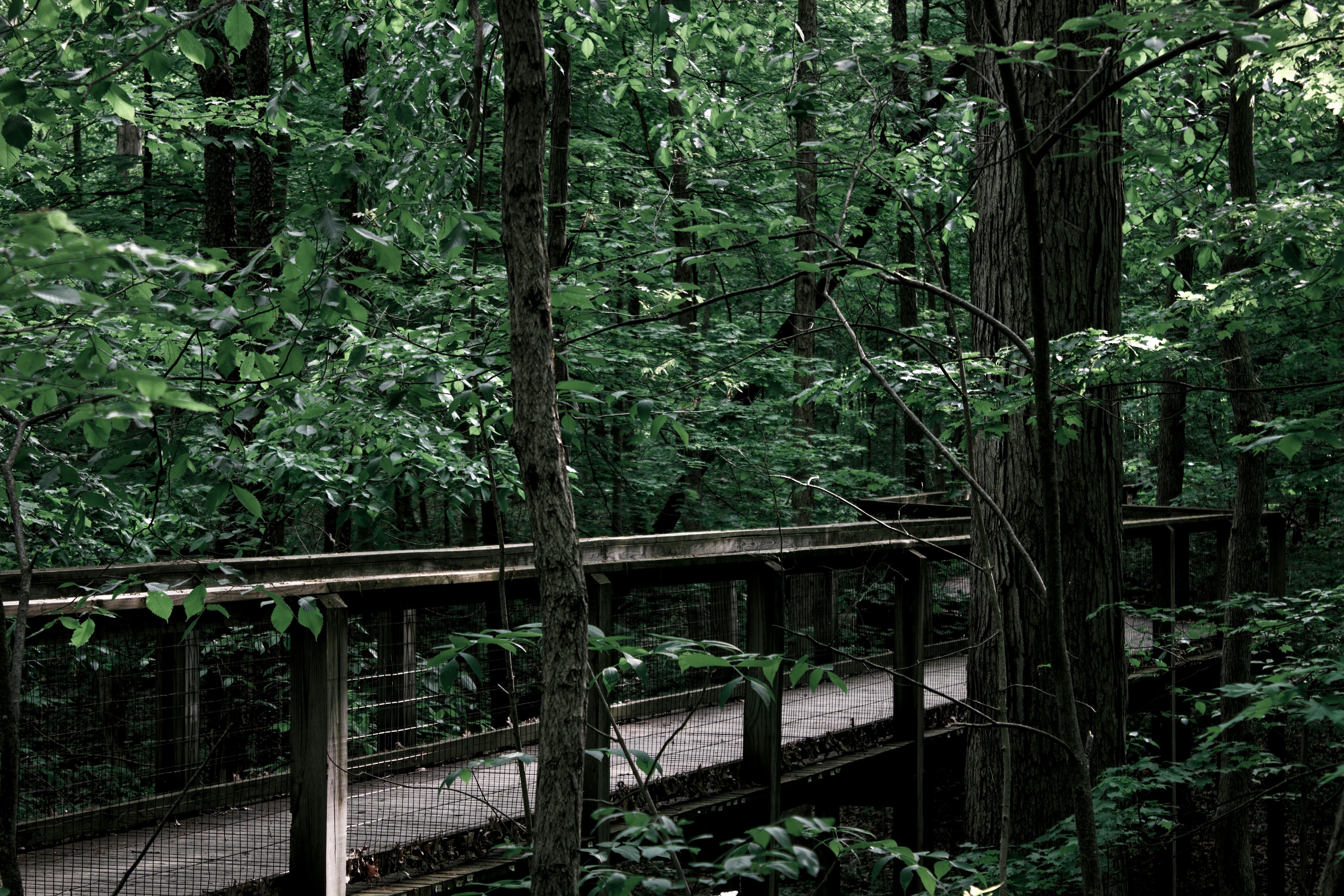 Photo by mrgreatheart