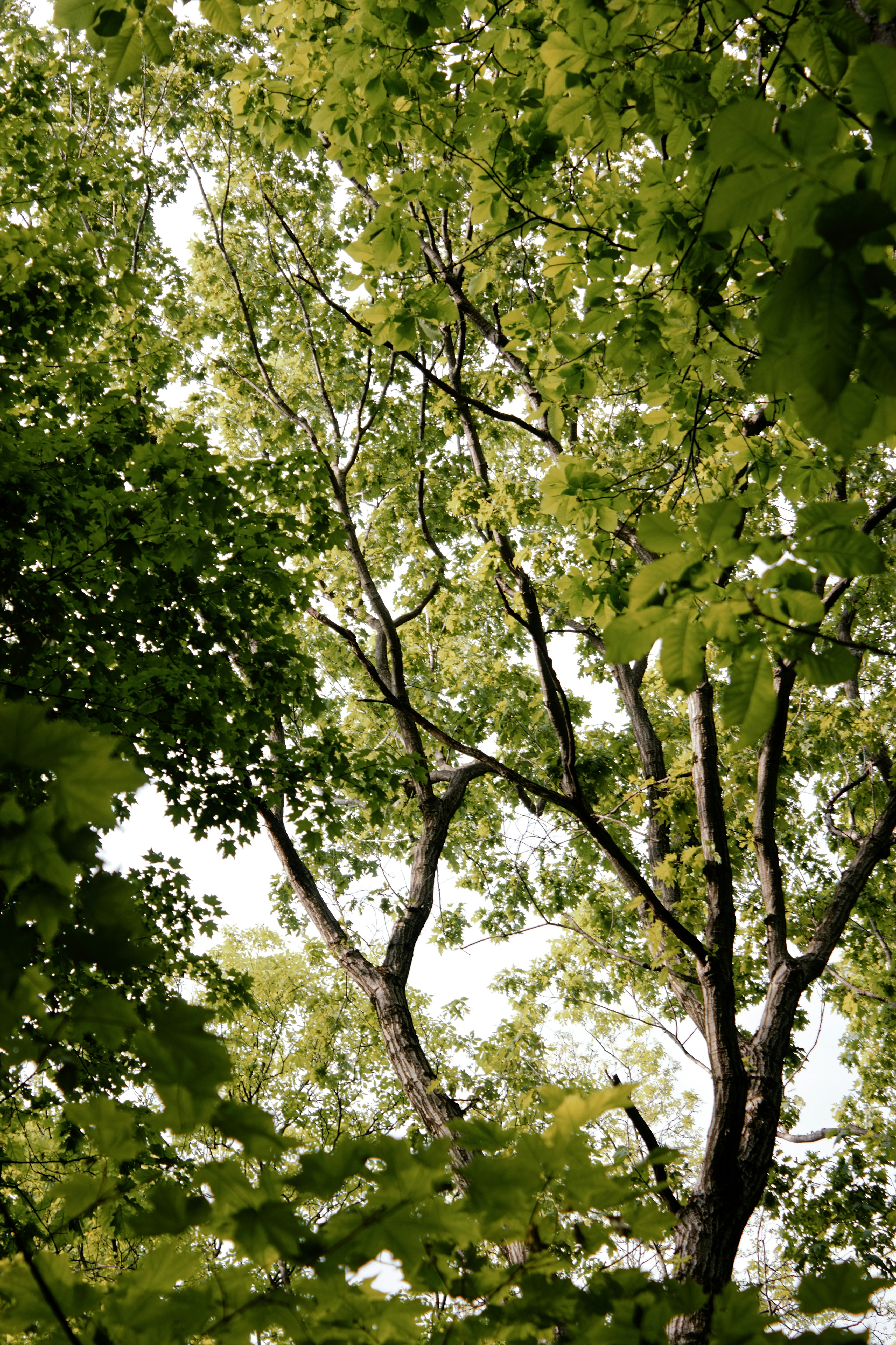 Photo by mrgreatheart