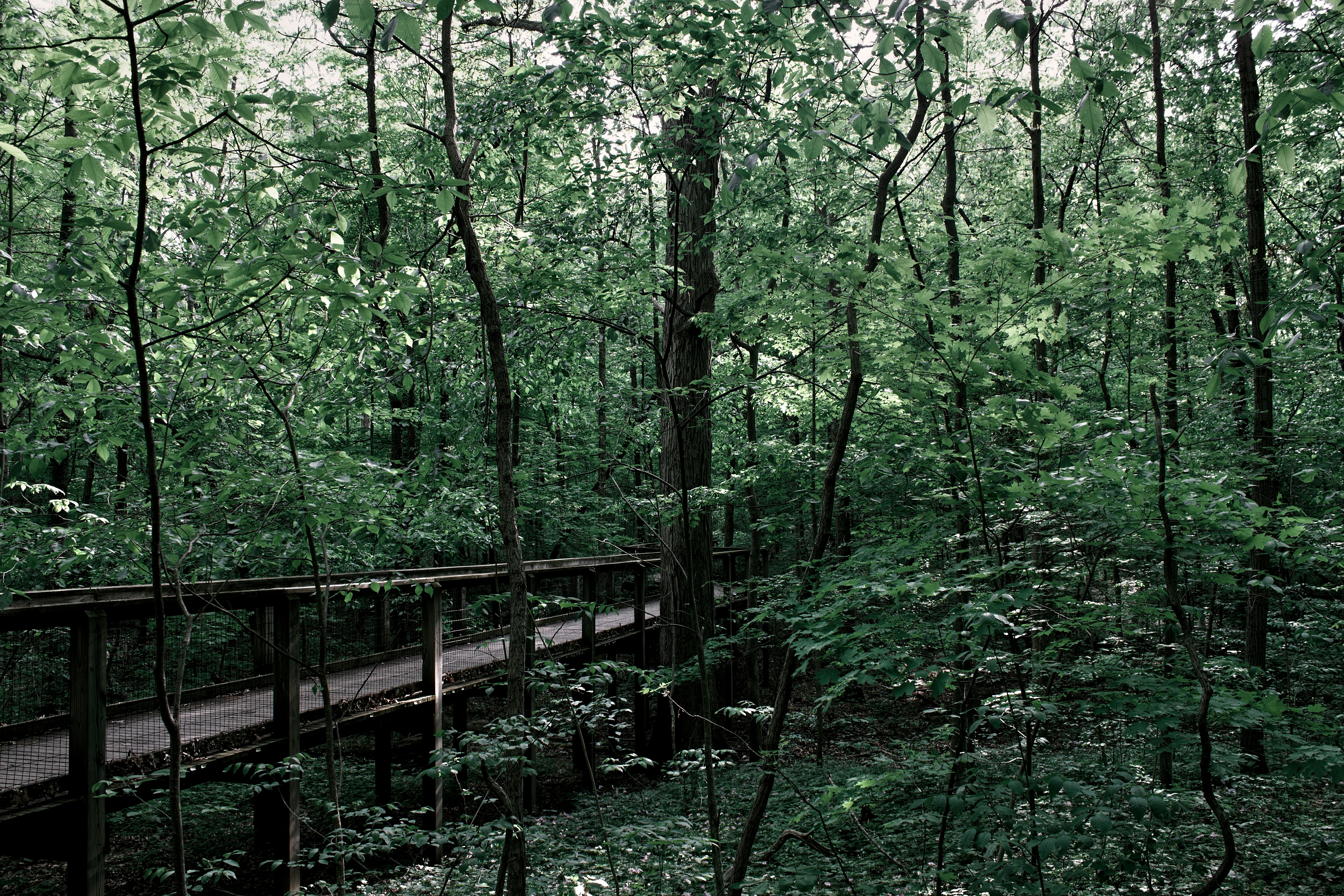 Photo by mrgreatheart