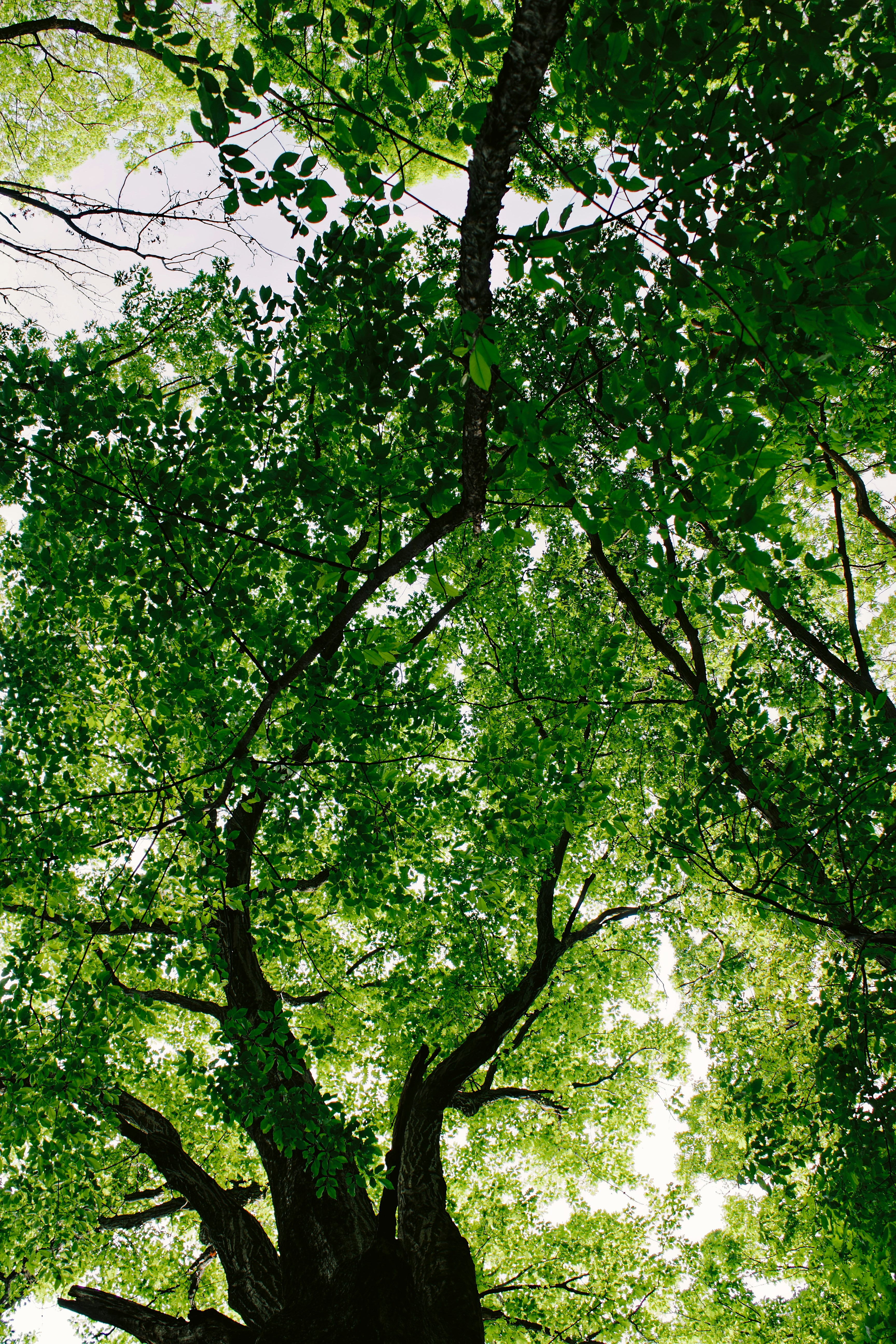 Photo by mrgreatheart