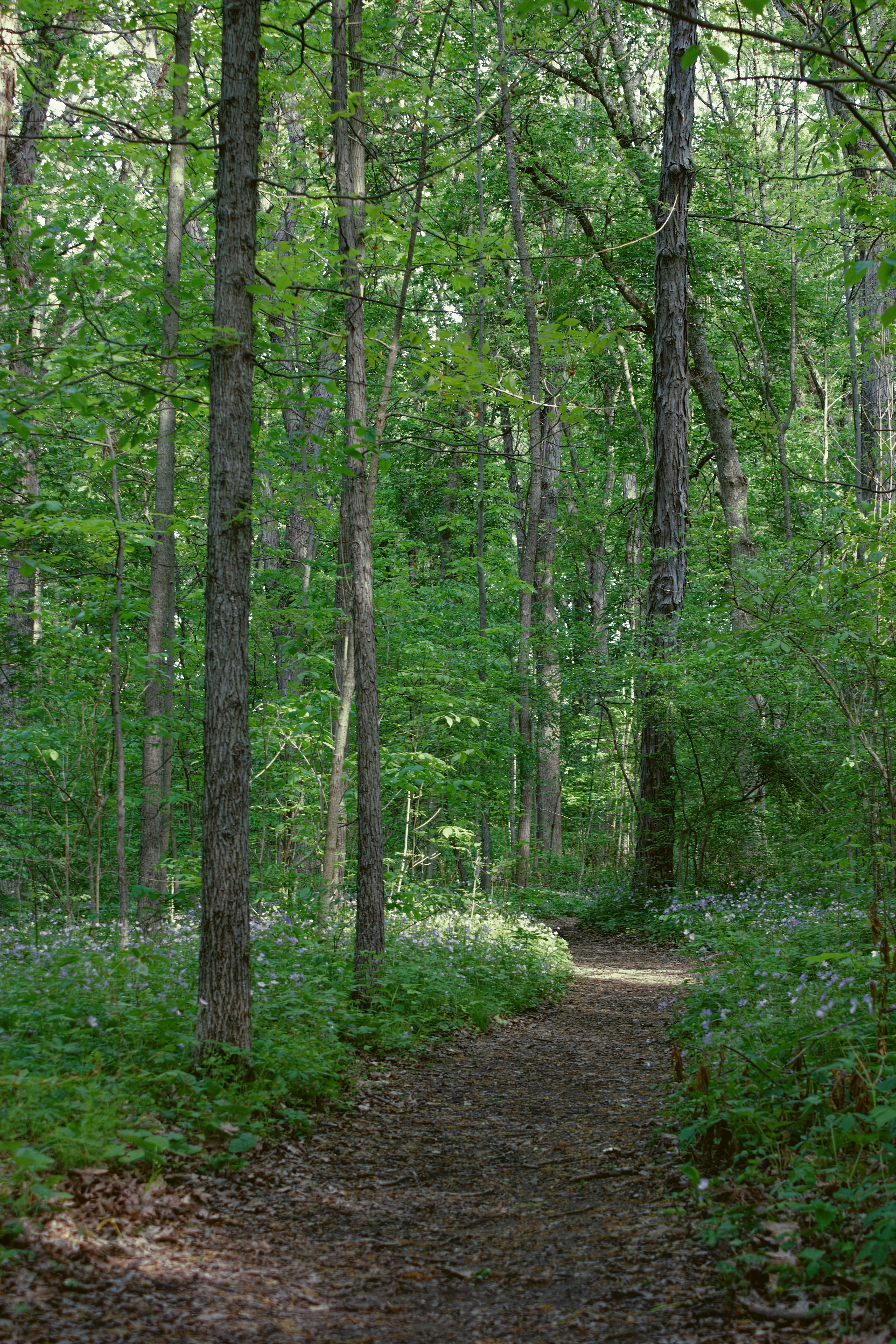 Photo by mrgreatheart