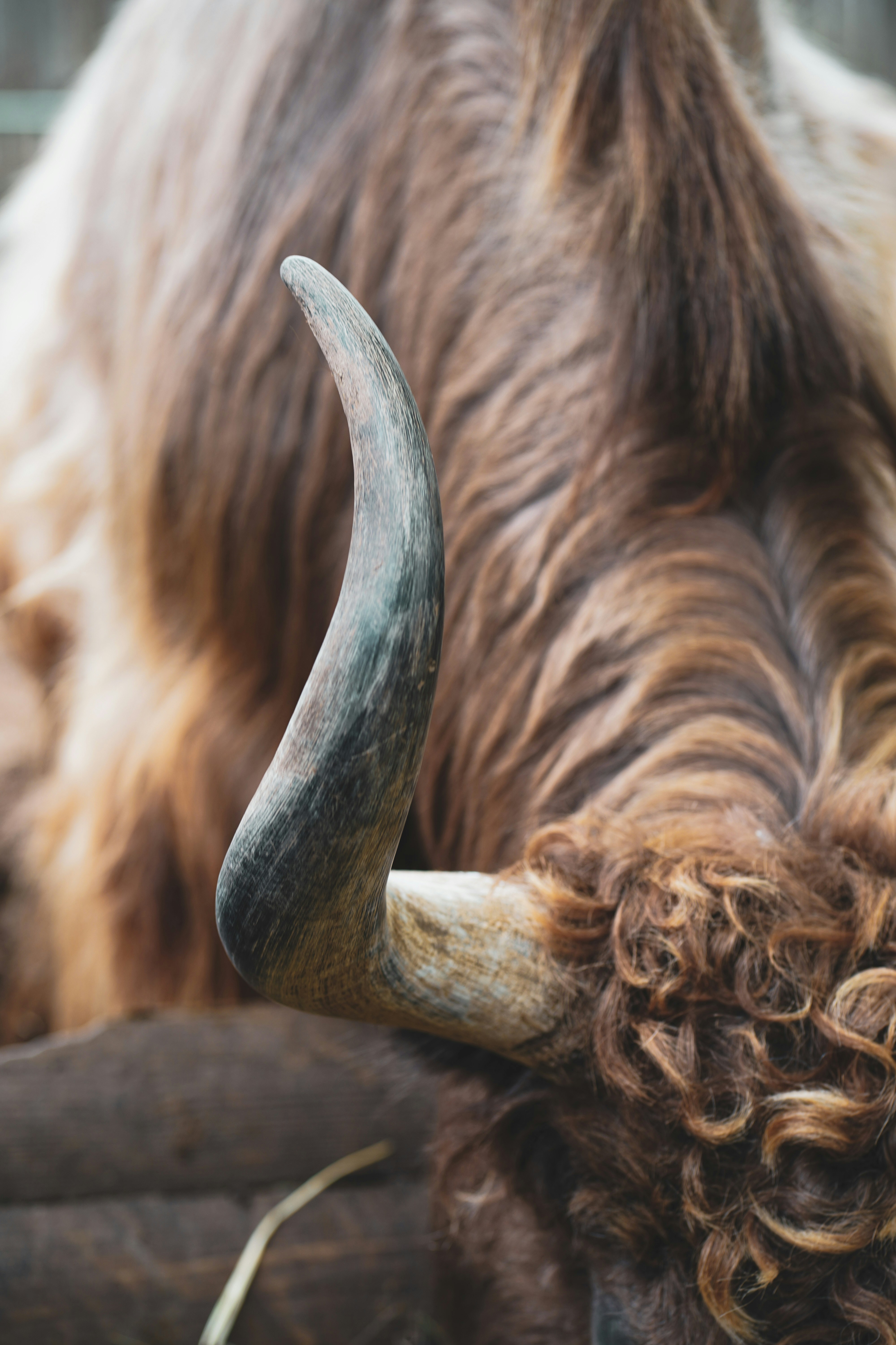 Photo by artcoastdesign