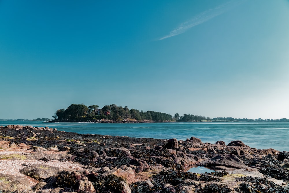 brown rocky shore near green trees under blue sky during daytime