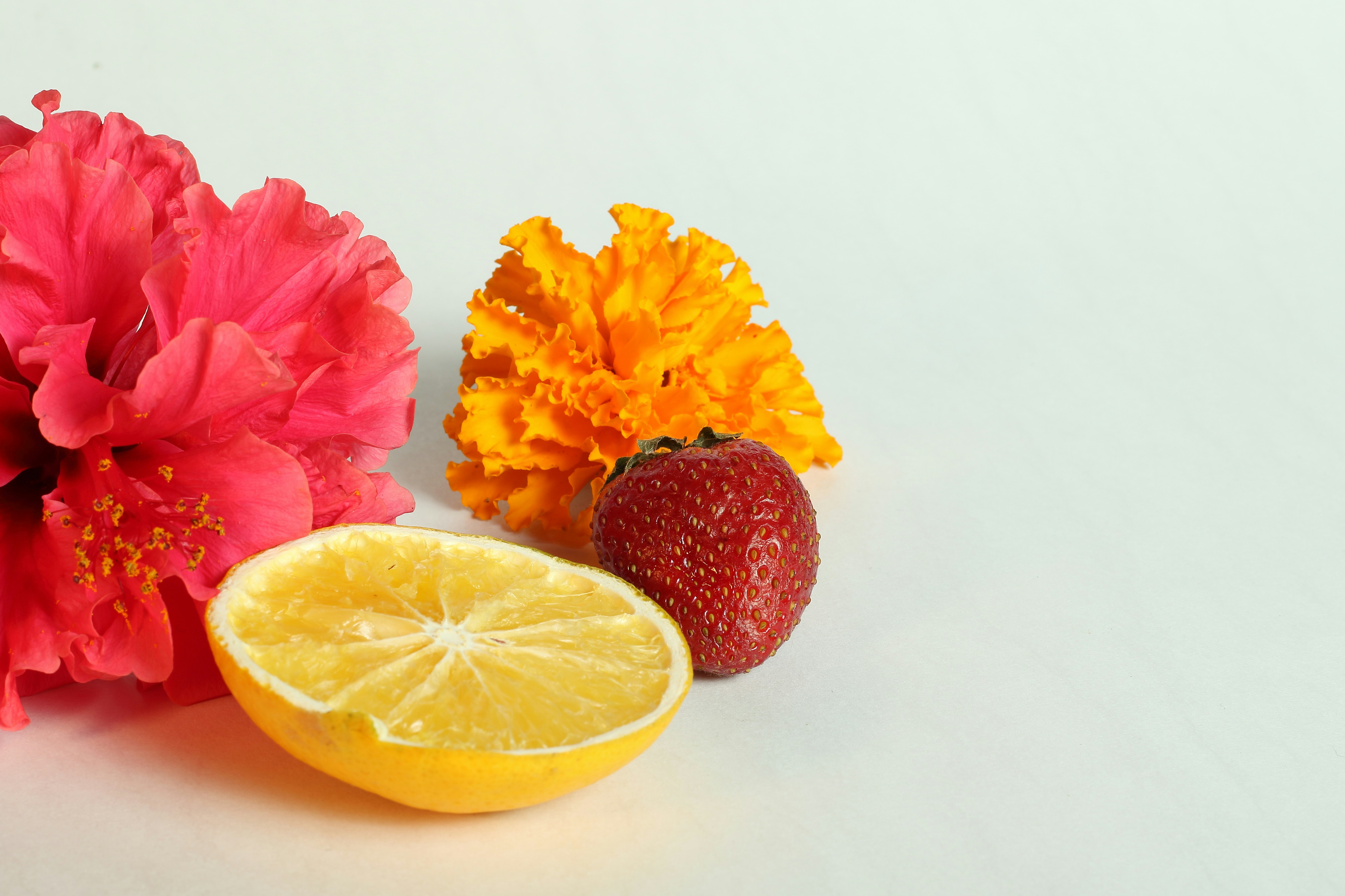 sliced lemon beside pink and yellow flowers