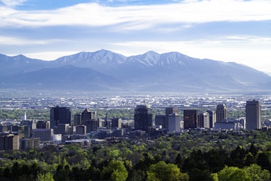 city skyline across green mountain during daytime