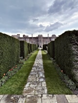 A charming stone pathway leading to a historic château surrounded by lush greenery.