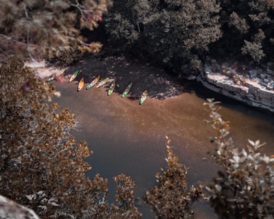 A group of colorful kayaks are lined up near the shore of a river, surrounded by dense foliage and rocky terrain. The water is clear, showing some variations in depth. The scene seems serene and quiet, with a natural, earthy color palette.
