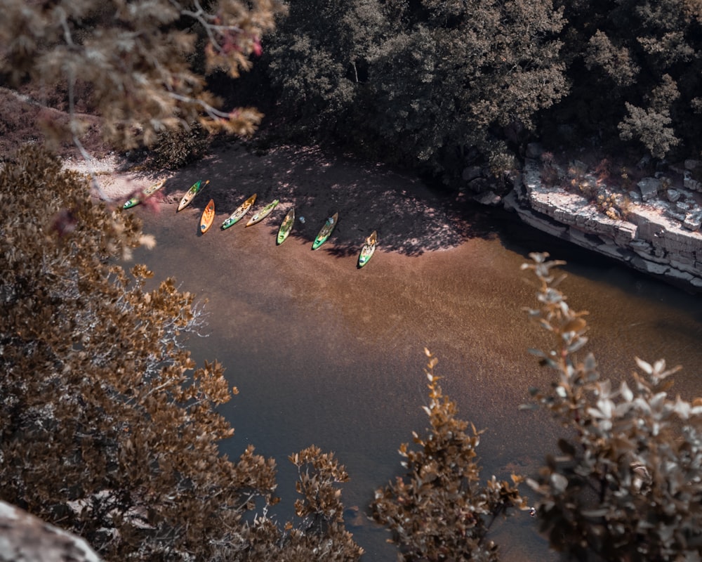 people walking on brown dirt road near river during daytime