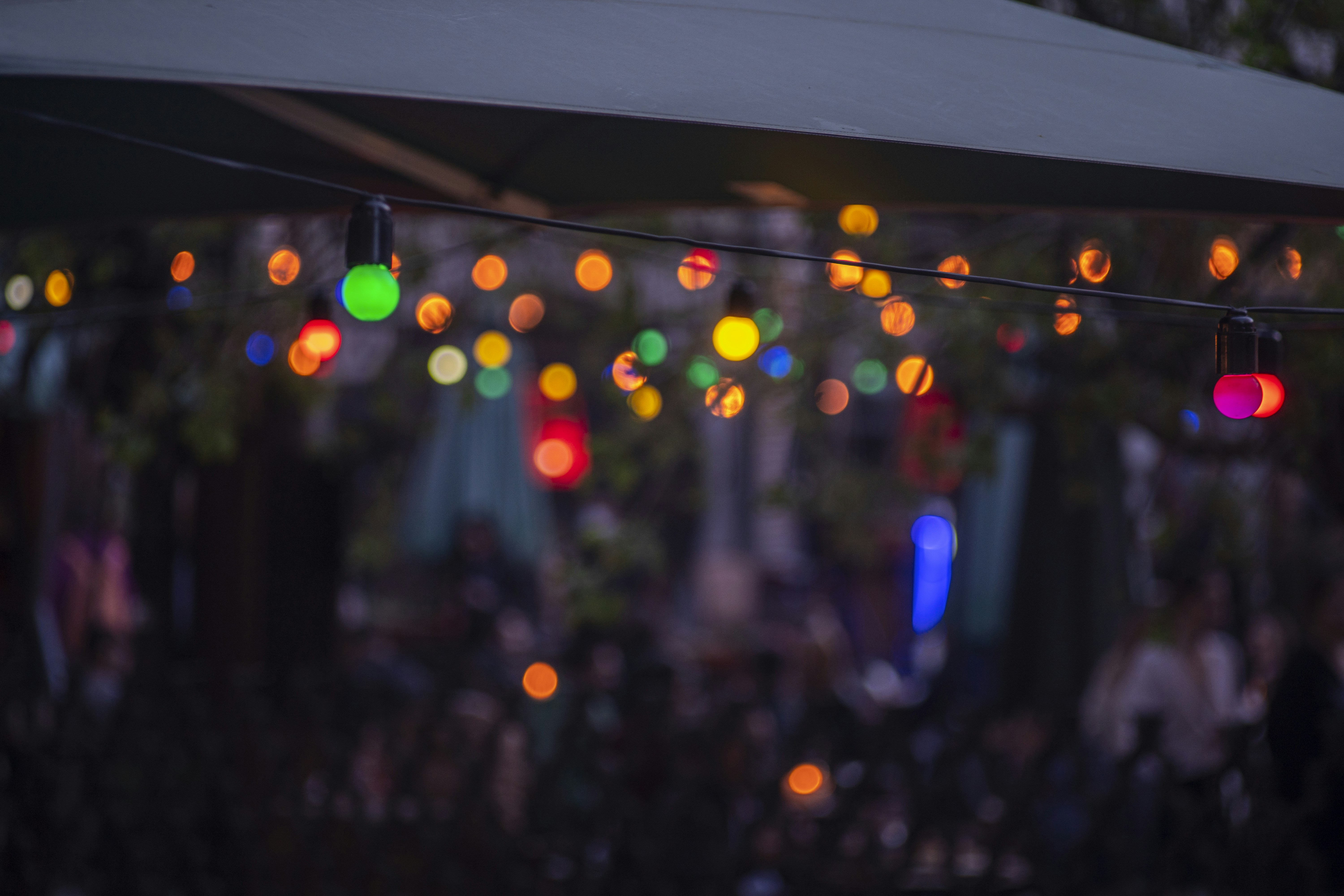 What if Summer Never Ended?