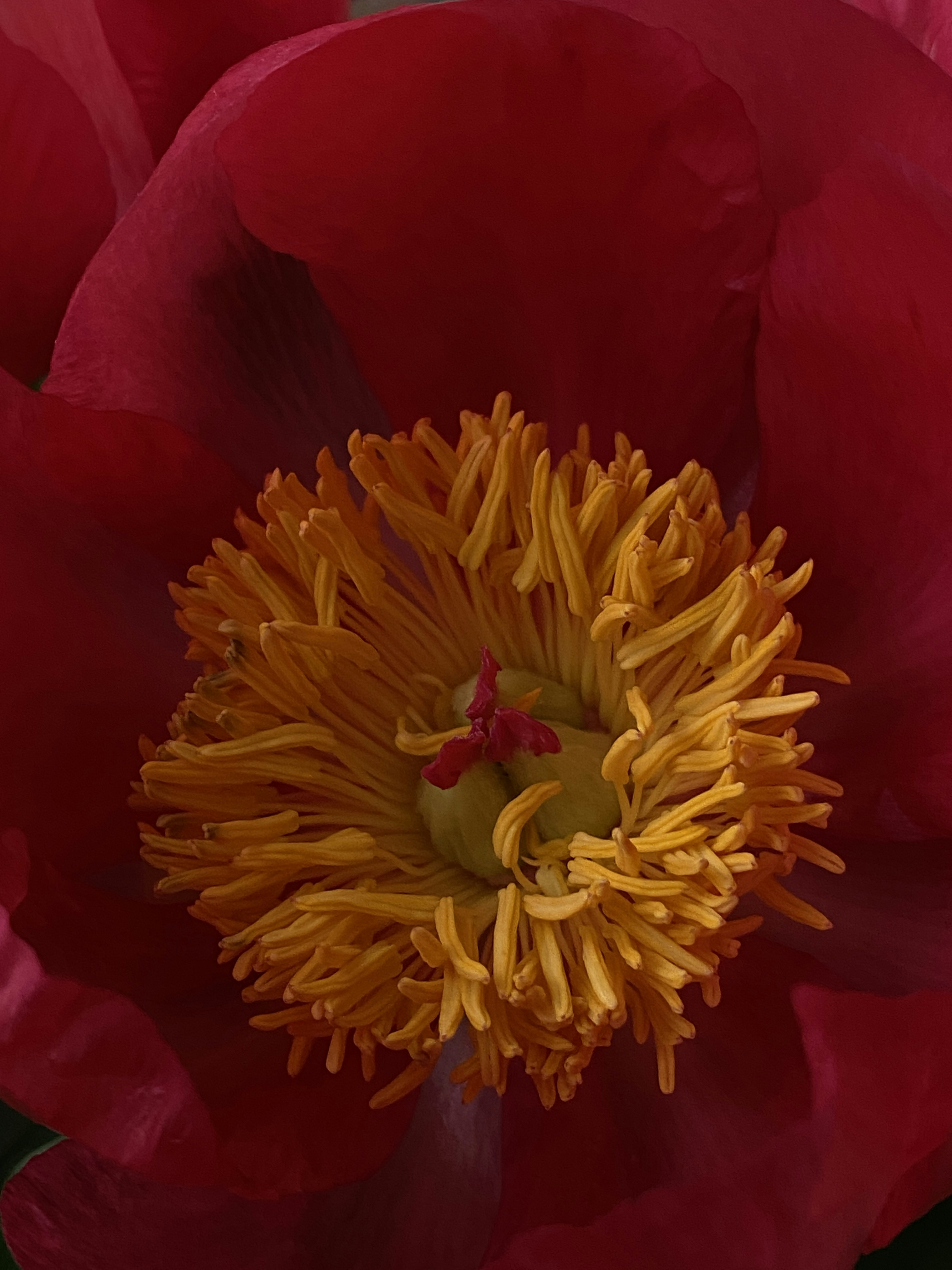 Photo by filipp_roman_photography