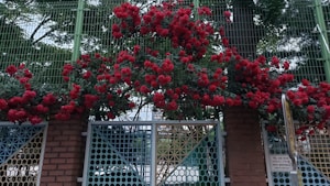 Rose Vine Decor