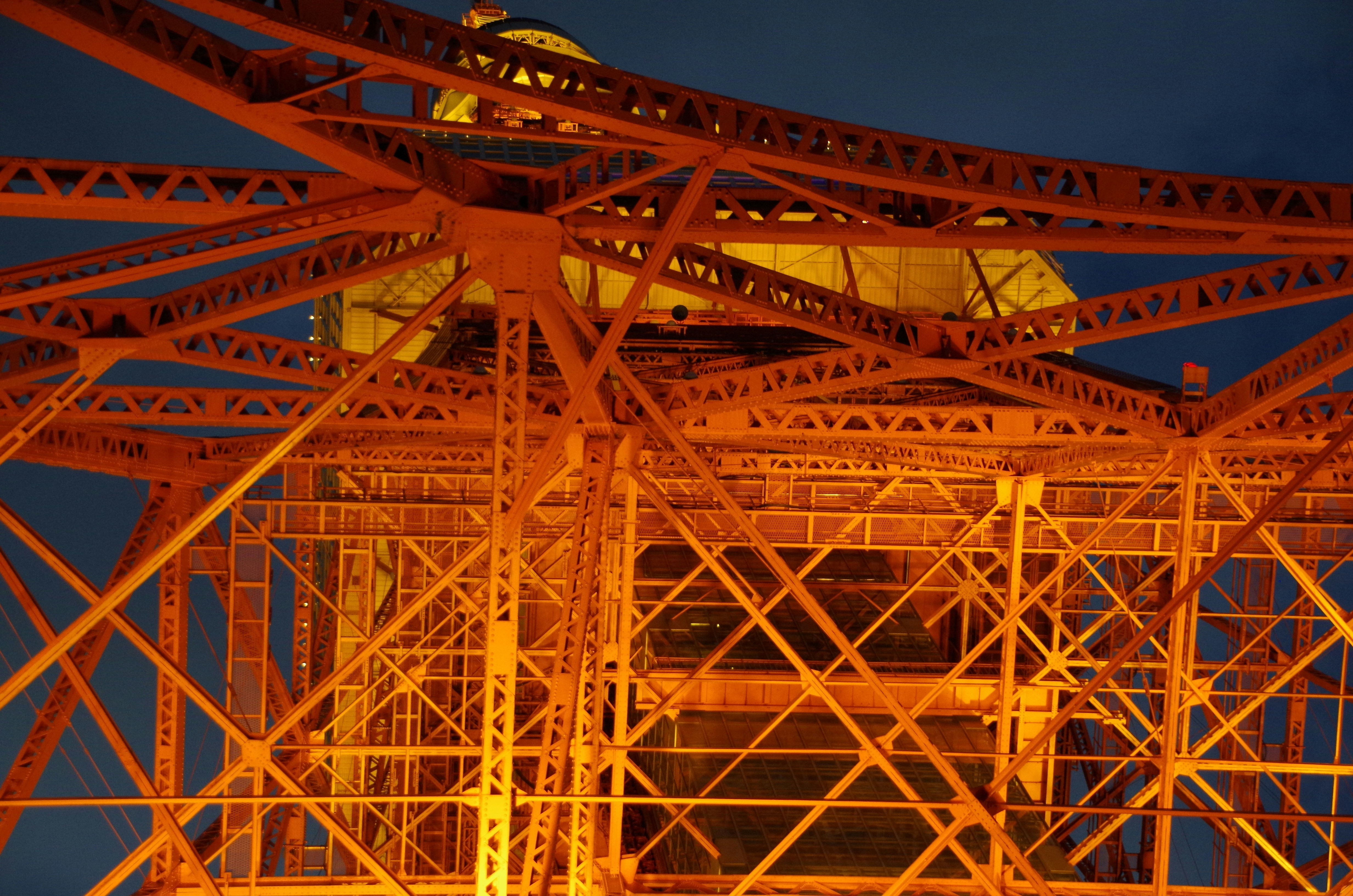 Photo by fanaticsheep