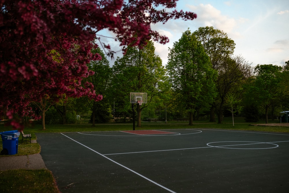black and white basketball hoop near green trees during daytime