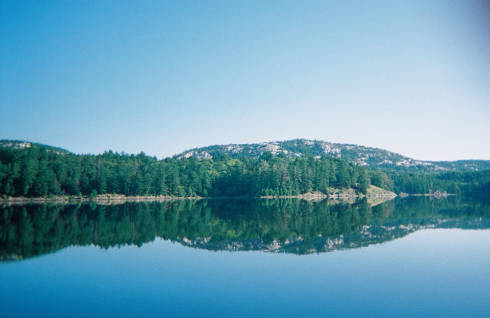 green trees near lake under blue sky during daytime