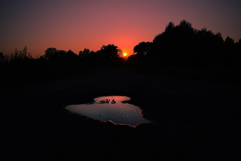 silhouette d’arbres au coucher du soleil