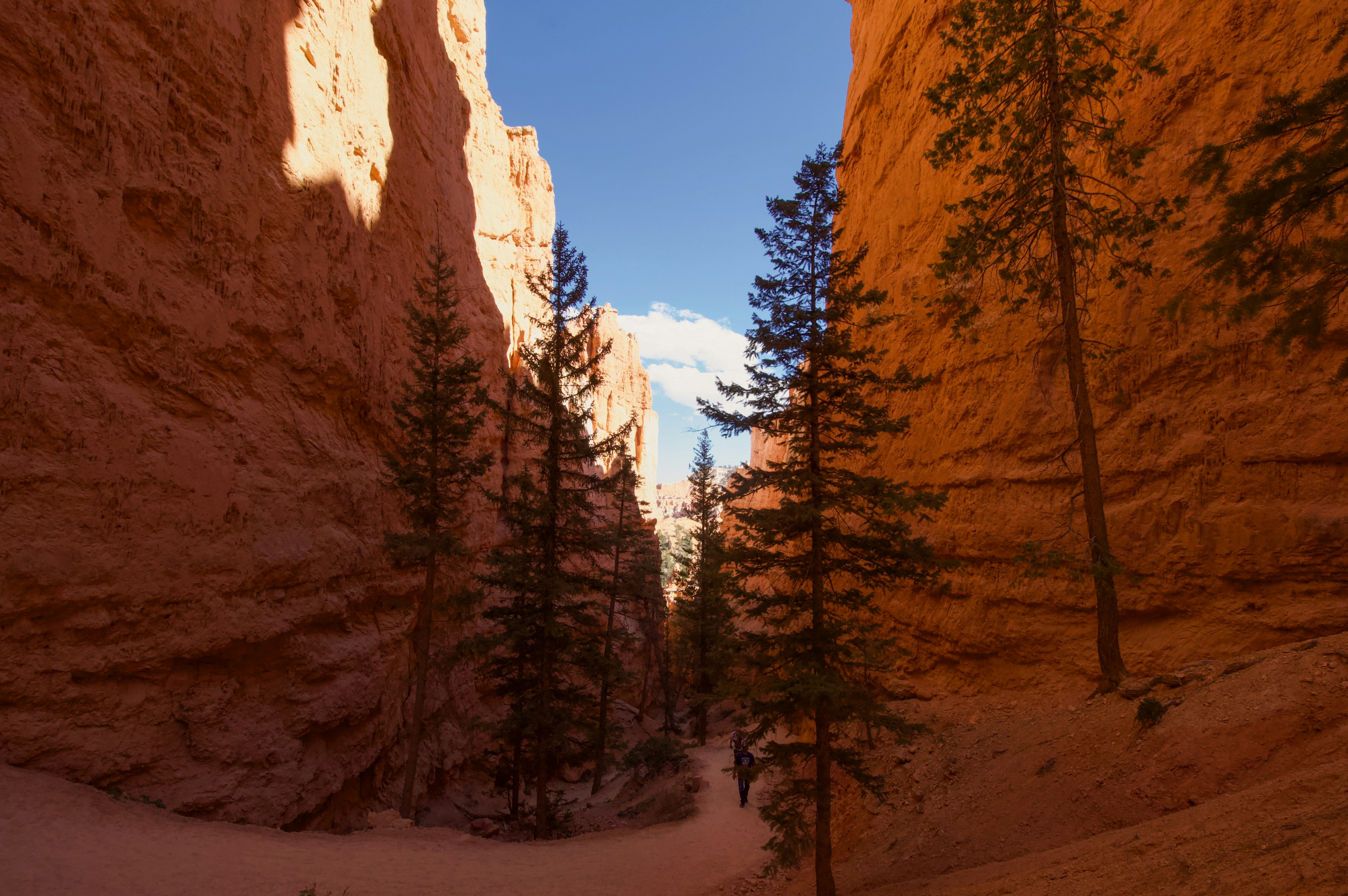 Photo by leslie_outofdoors