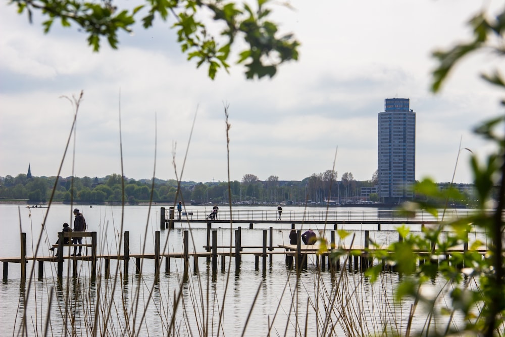 Plantes vertes sur le plan d’eau près des bâtiments de la ville pendant la journée