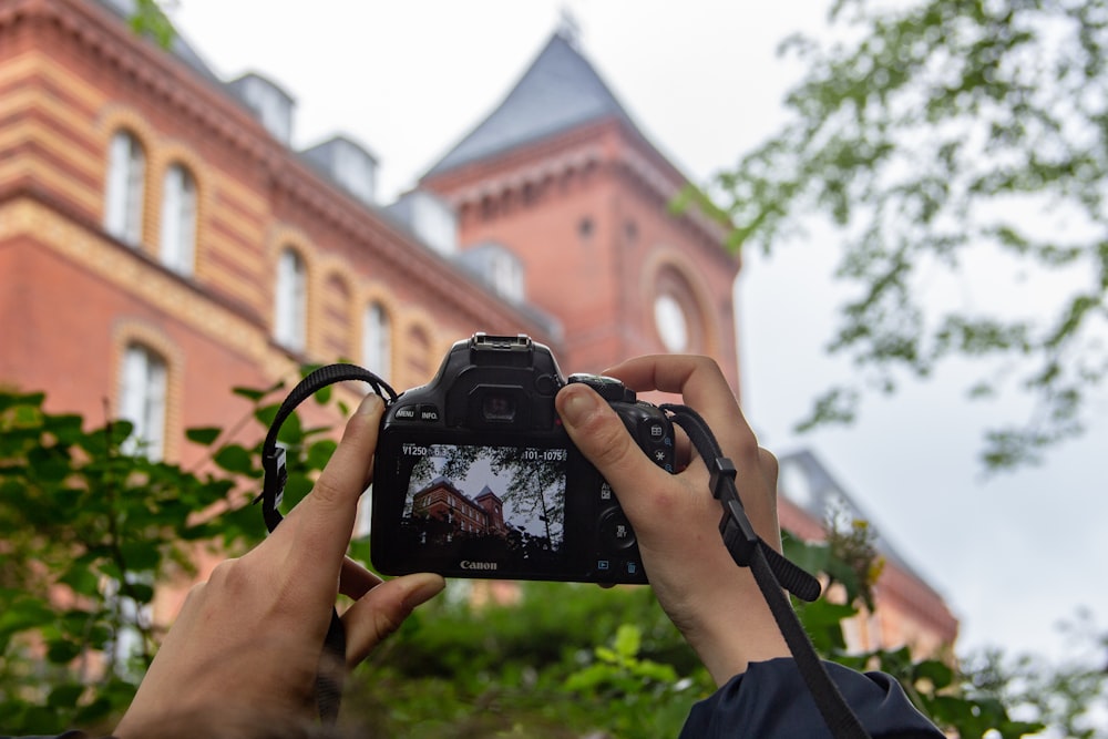 person holding black dslr camera