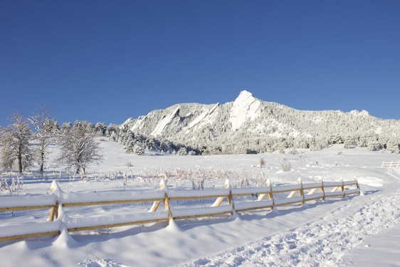 snow covered mountain during daytime
