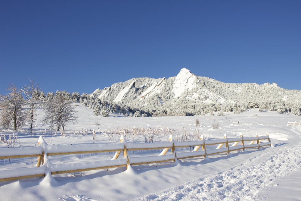 montanha coberta de neve durante o dia