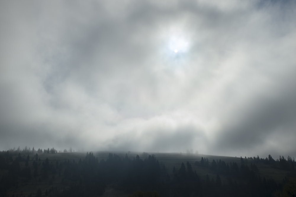 green trees under white clouds