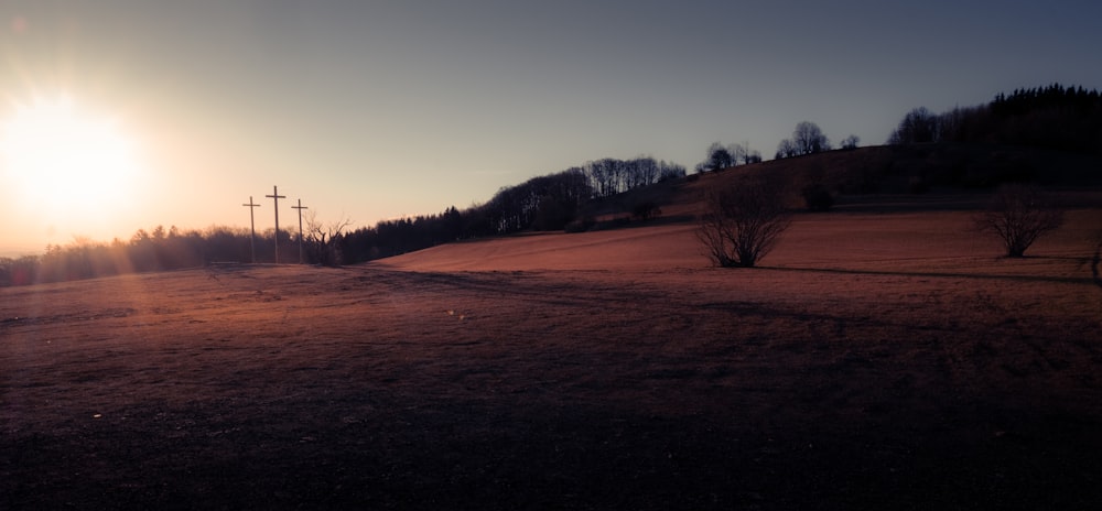 silhouette of trees during sunset