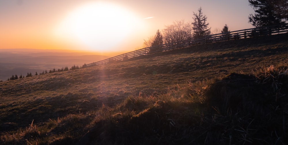 green grass field during sunset