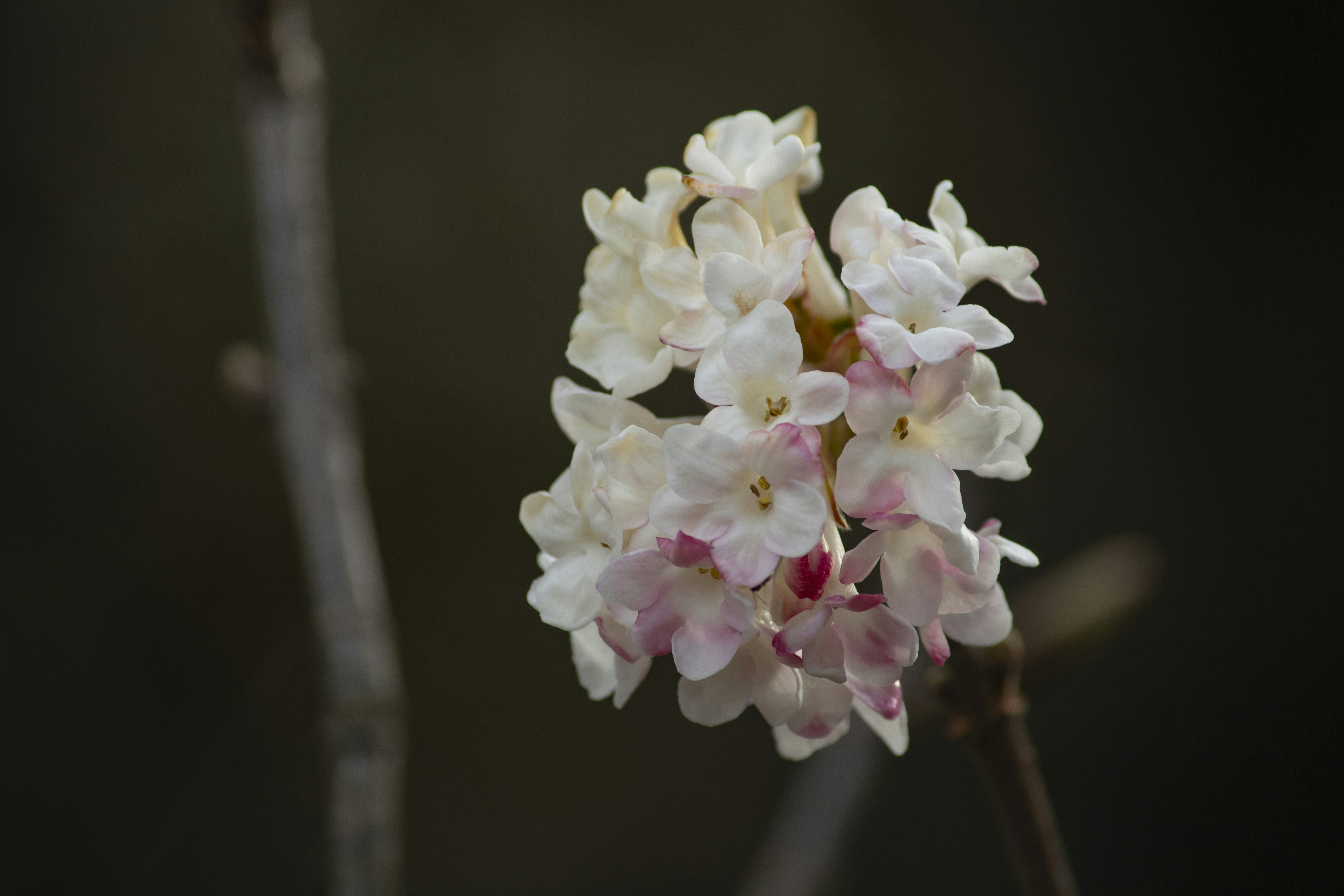 Photo by prashant_2075