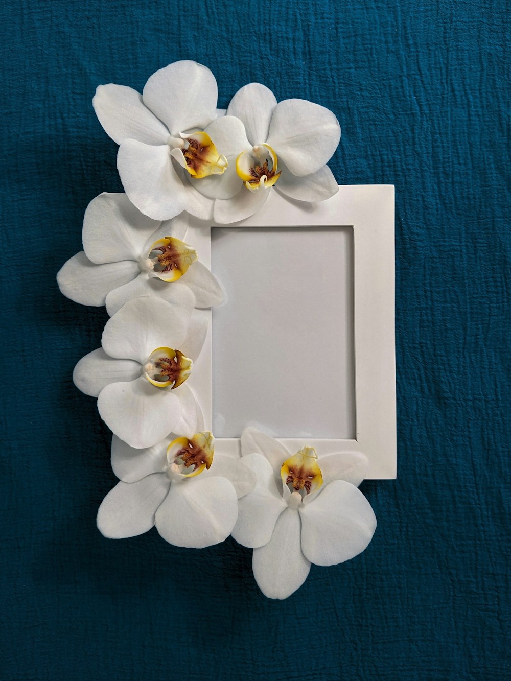 flor blanca sobre caja blanca